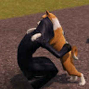 Meet your Posher, Abe